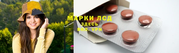 СК Алексин