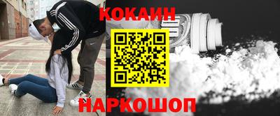 шишки Камышлов