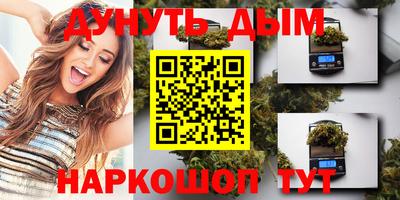 шишки Камышлов