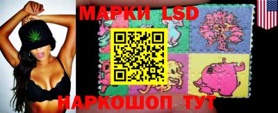 шишки Камышлов
