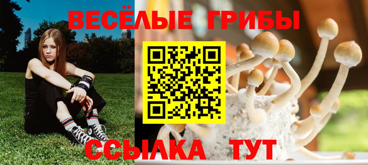 купить   Псилоцибиновые грибы Cubensis  Вход с VPN  Галлюциногенные грибы прущие грибы  Находка 