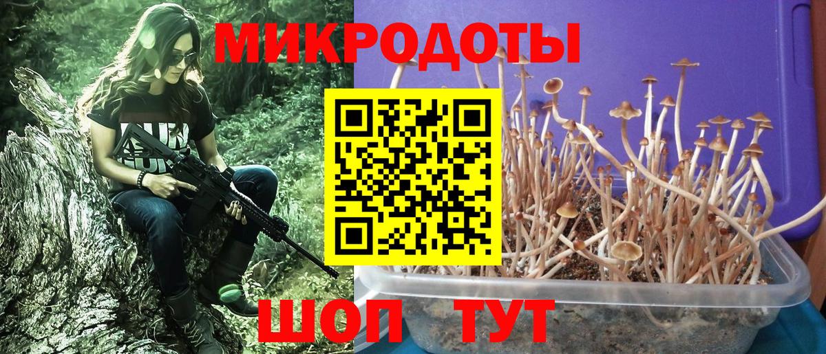 Кодеин  Находка  МЕФ   Меф  Вход с VPN  Гашиш  МАРИХУАНА 